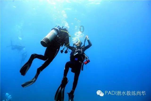 看完这篇,《繁花》大女主玲子在我心中封神:一心搞钱的事业女从来就没输过!