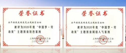 可爱小猫向上跳