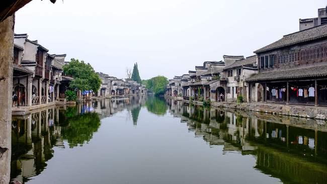 红色鹦鹉逃脱